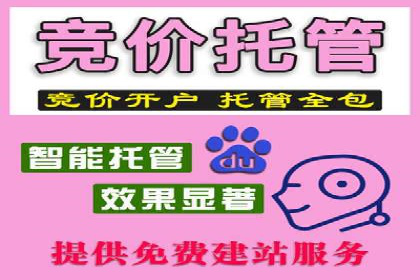 案例分享：SEM推广代运营公司助力企业实现品牌升级